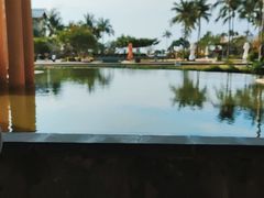 -亚龙湾希尔顿自助餐厅·海鲜·烧烤·沙滩BBQ·现场乐队