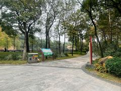 -王借岗森林公园