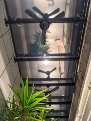 -无界瑜伽普拉提