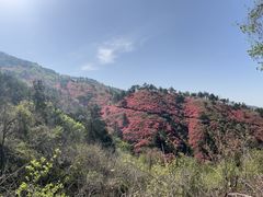 -木兰云雾山