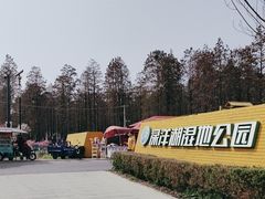 -渌洋湖湿地公园