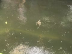 -优之名鹅城