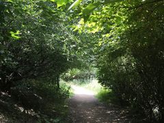 -高尔山公园