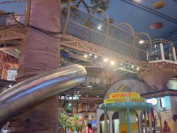 -卡通尼·Safari非洲探索乐园·生日会(金桥国际商业广场店)