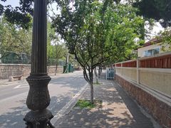 -八大关景区