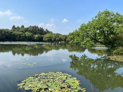 -西湖游船