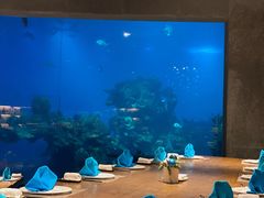 包厢-海棠湾洲际-涛·海底餐厅·美人鱼·自助餐·海底隧道