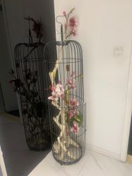 -樱木町·日式头皮管理中心