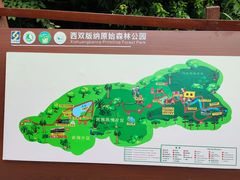 -西双版纳原始森林公园