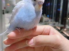 -怪兽屋·羊驼·猫咖·狗咖(俊华广场店)