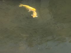 -珠海圆明新园
