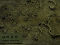 -汉景帝阳陵博物院