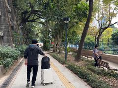 -九龙公园