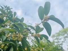 -长广溪湿地公园