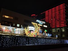 -台场海滨公园船码头