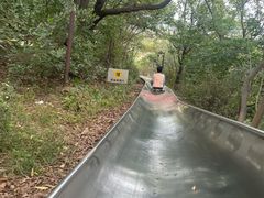 -富斯特索道