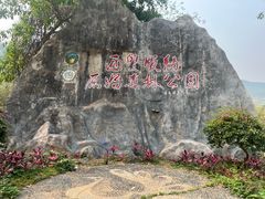 -西双版纳原始森林公园