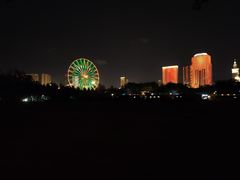 -万绿园