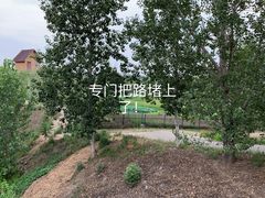 -东郊湿地公园