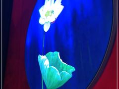 -徽三说·土徽菜·中国徽菜连锁品牌(一中店)