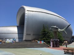 -烟台海昌鲸鲨海洋公园