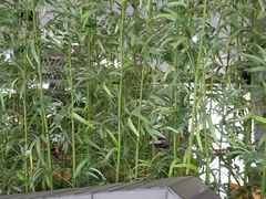 -普陀长途客运中心