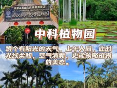 -西双版纳总佛寺
