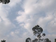 -火炉山森林公园