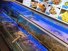 -渔家风味·鲅鱼水饺·央视展播·海鲜天津菜(开发区店)