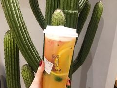 -LELECHA乐乐茶(上海五角场万达广场店)