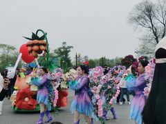 -荷兰花海
