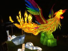 -昆山城市生态森林公园