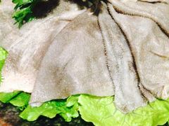 毛肚-渝利重庆火锅