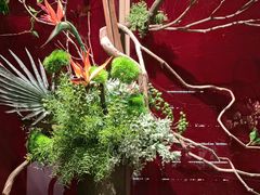 -星·South Beauty·俏江南(国贸店)