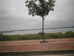-呼兰河口湿地公园