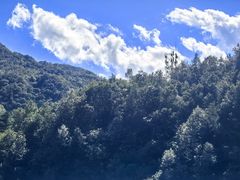 -牛背梁国家森林公园