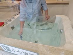 -盈月阁母婴护理中心·月子中心·月嫂育儿嫂