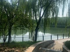 -大兴滨河森林公园