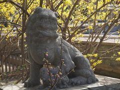 -大觉寺-停车场