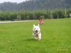 草坪-意大利农场度假村