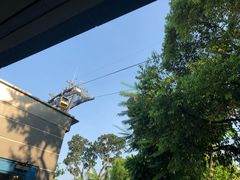 -圣淘沙天际线斜坡滑车