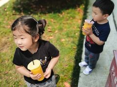 -上海长兴岛郊野公园