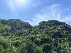 -大岭沟猕猴桃谷风景区