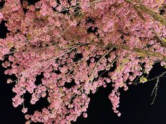 -在路上酒吧(大理古城店)