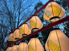 -武汉园博园(武汉自然博物馆)