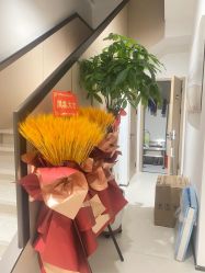 -幼泡泡连锁美容医疗