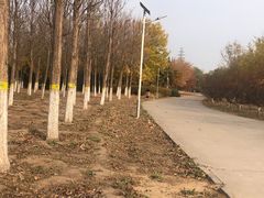 -永定河休闲森林公园