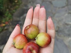 -丽江玉水寨