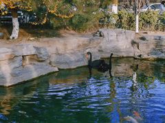 -三里河公园