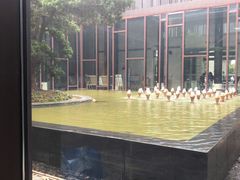 -上海崇明金茂凯悦酒店